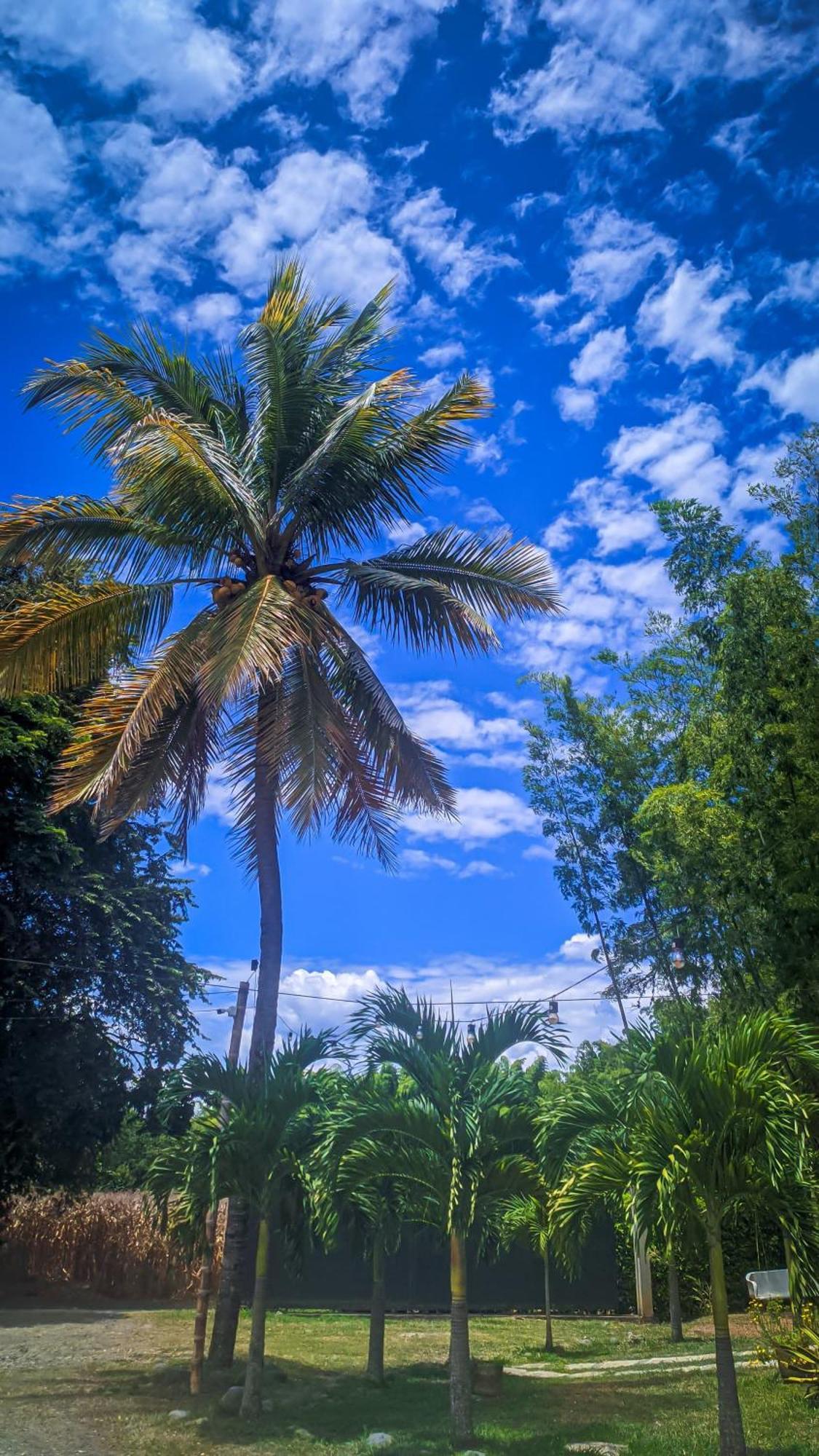 Hotel Campestre Campos Verdes Roldanillo ภายนอก รูปภาพ